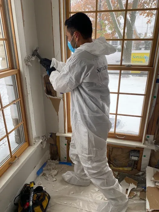 ServiceMaster of Lake Shore Picture 7