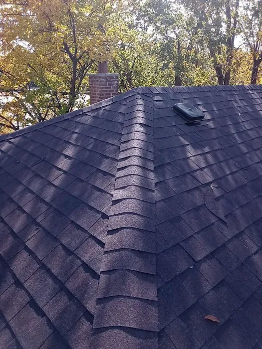 Blue Taurus Construction Picture 6