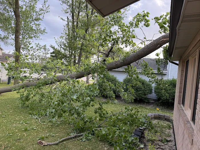 National Catastrophe Solutions Picture 7