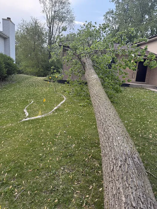 National Catastrophe Solutions Picture 9