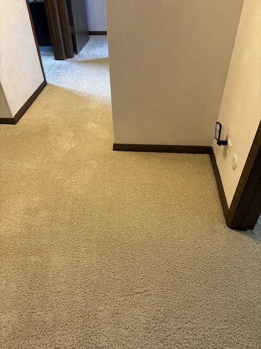 Stanley Steemer Picture 8