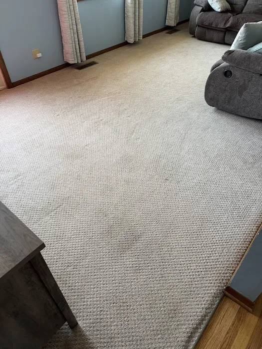 Stanley Steemer Picture 9