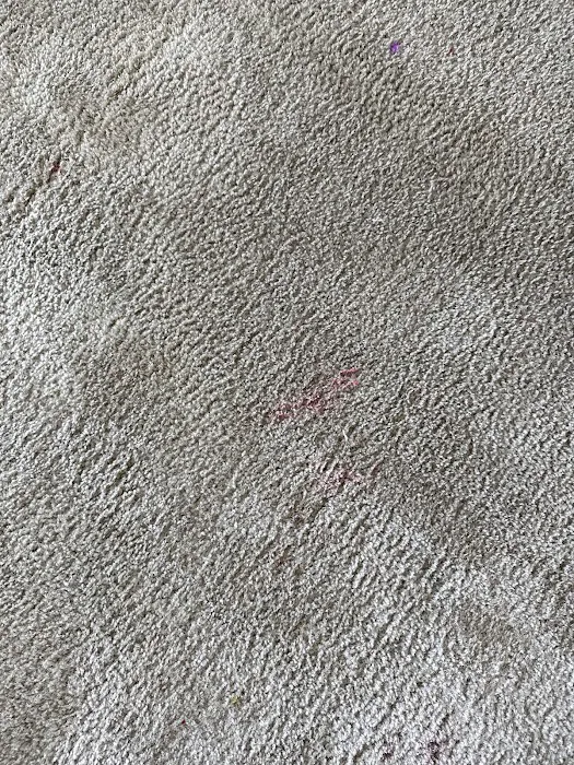 Stanley Steemer Picture 3