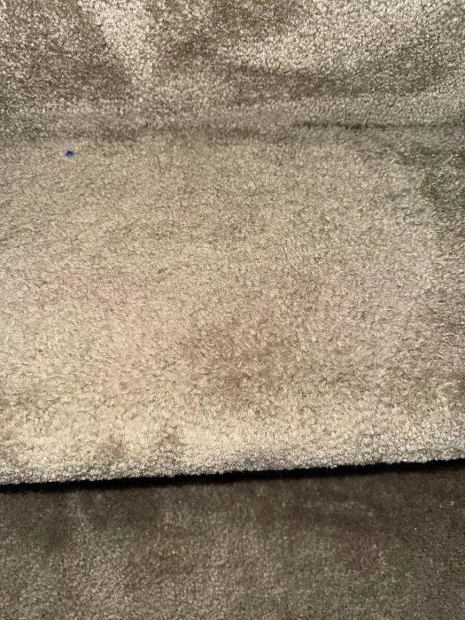 Stanley Steemer Picture 2