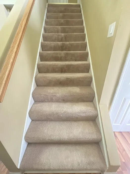 Stanley Steemer Picture 1