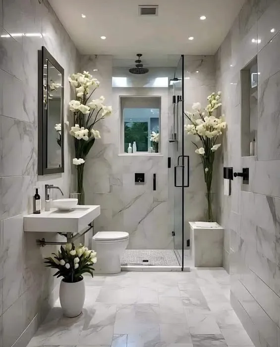 AGMAPLUS CORPORATION Picture 10