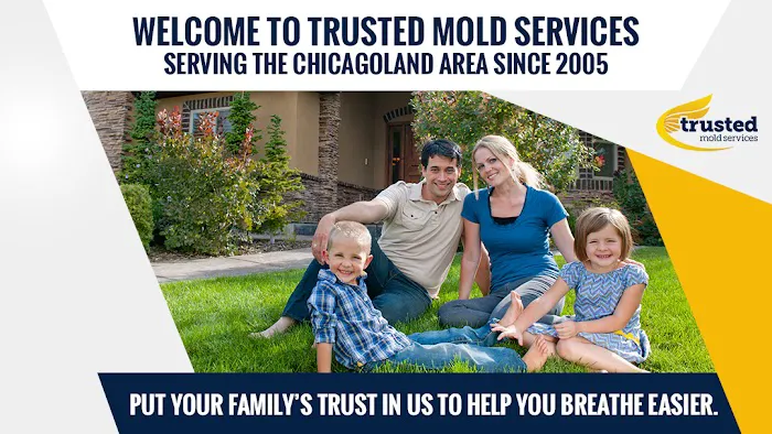 Trusted Mold Services Picture 1