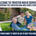 Trusted Mold Services
