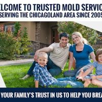 Trusted Mold Services ico