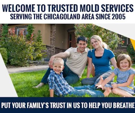 Trusted Mold Services