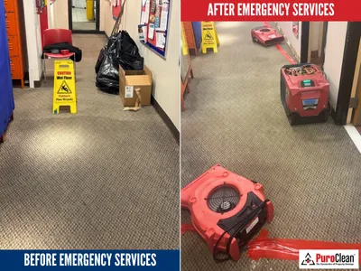 PuroClean of Orland Park Picture 9