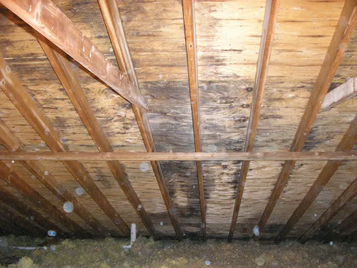 Mold Solutions Picture 8