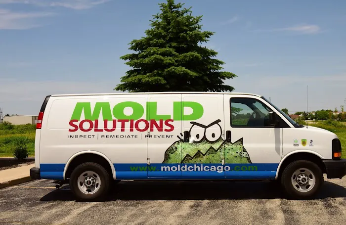 Mold Solutions Picture 2