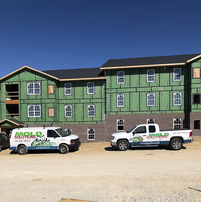 Mold Solutions Picture 7