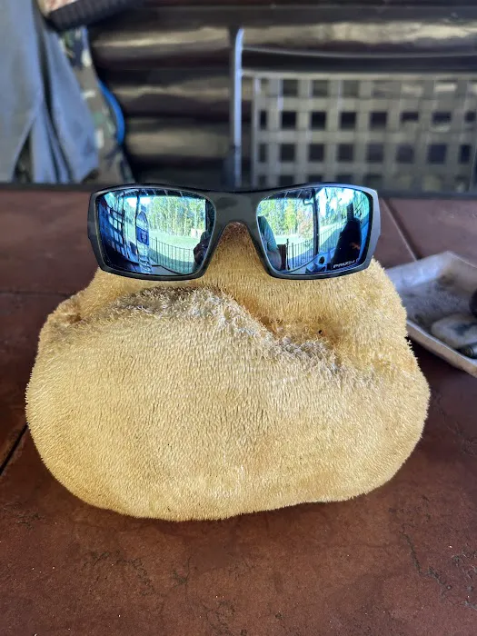 Mold Solutions Picture 1