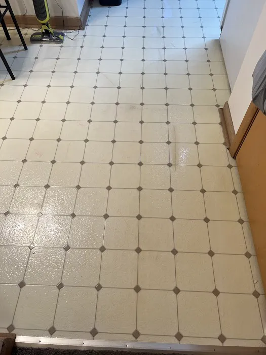 Stanley Steemer Picture 4