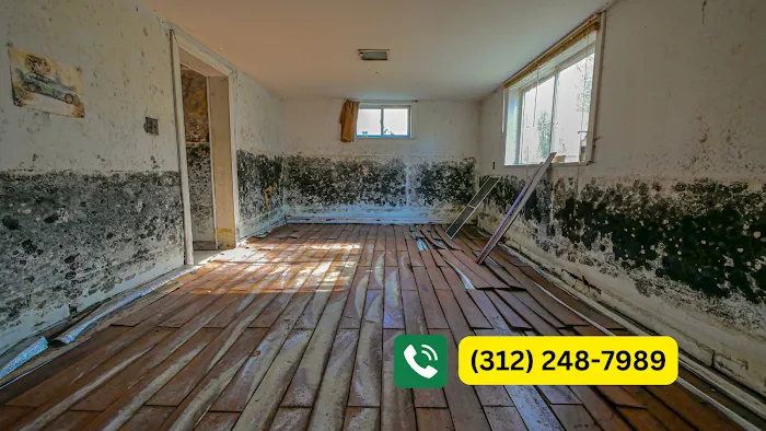 Chicago Mold Pros Picture 4