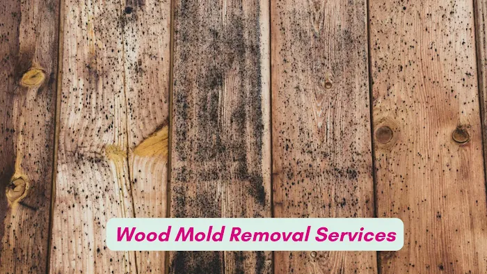 Chicago Mold Pros Picture 9