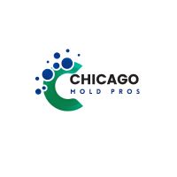 Chicago Mold Pros ico