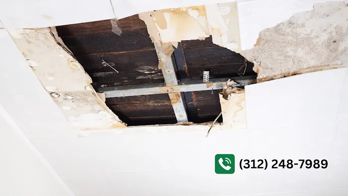 Chicago Mold Pros Picture 8