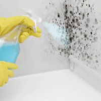 Chicago Easy Mold Removal ico