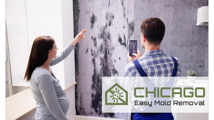 Chicago Easy Mold Removal Picture 4