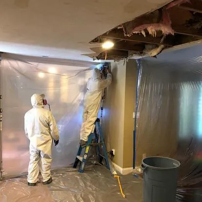 Romexterra Construction Fire and Water Restoration Services of Chicago Picture 3