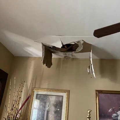 Romexterra Construction Fire and Water Restoration Services of Chicago Picture 10