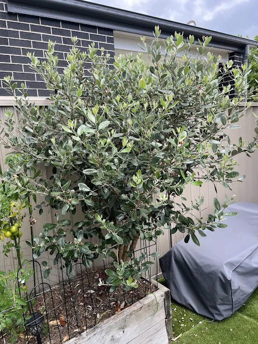 Chicago Fire & Water Damage Restoration Group Picture 5