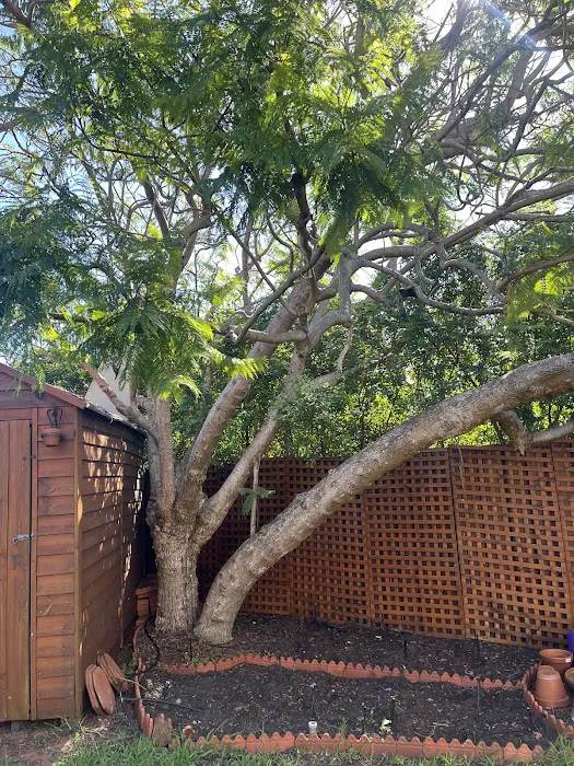 Chicago Fire & Water Damage Restoration Group Picture 7