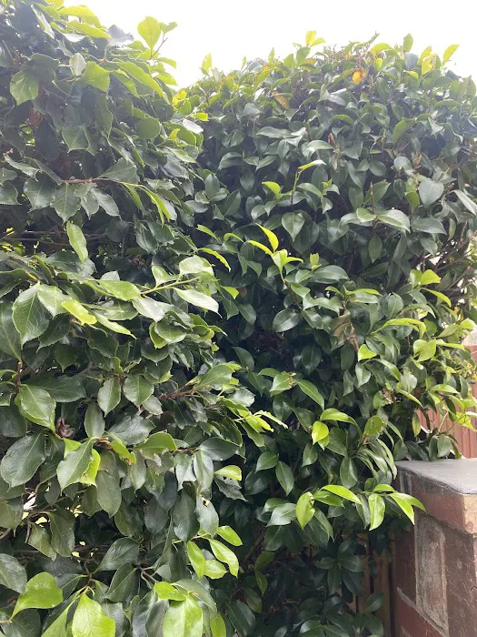 Chicago Fire & Water Damage Restoration Group Picture 9