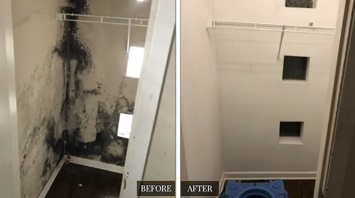 Best Option Restoration of Cook County Picture 7