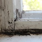 Best Option Restoration of Cook County