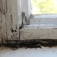 Best Option Restoration of Cook County ico