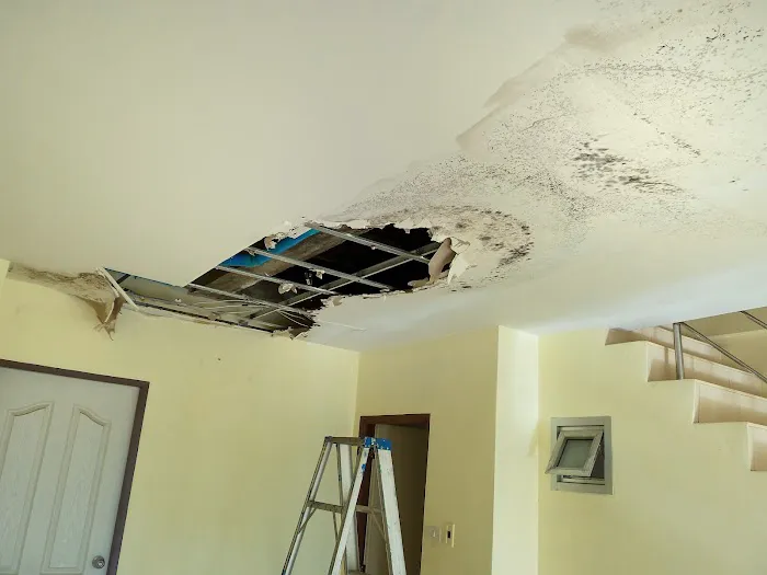 Oak Brook Water & Fire Damage Restoration Picture 2