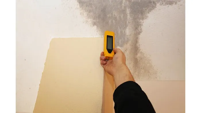 Elite Breeze Mold Removal Picture 3