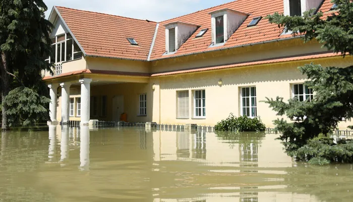 ServiceMaster Today Picture 6