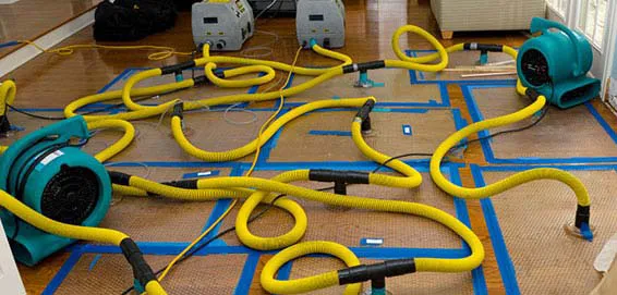 Home Doctor Restoration Picture 9