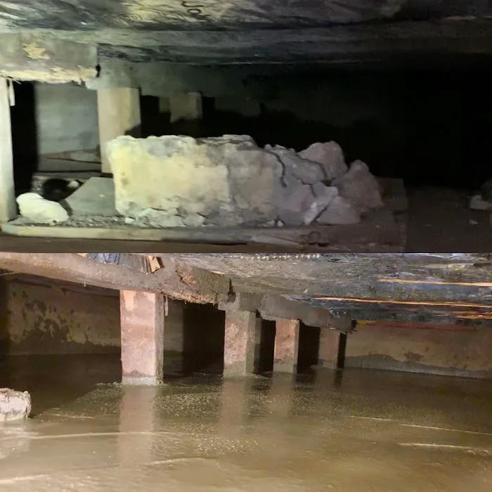 Accu-Dry Waterproofing & Concrete Pumping, Inc. Picture 4