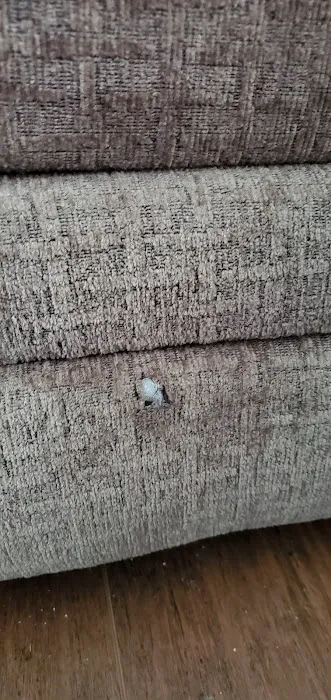 American Cleaning South Picture 7