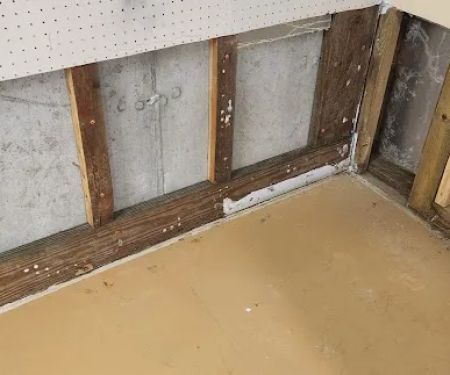 ServiceMaster DSI - Downers Grove