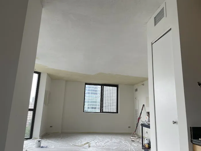 Pro Chicago Painters Picture 5