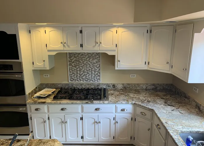 Pro Chicago Painters Picture 6