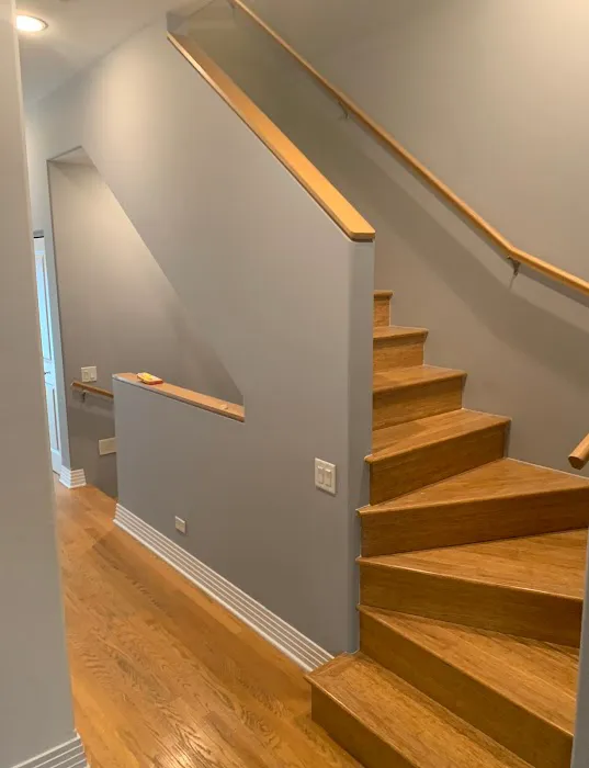 Pro Chicago Painters Picture 9