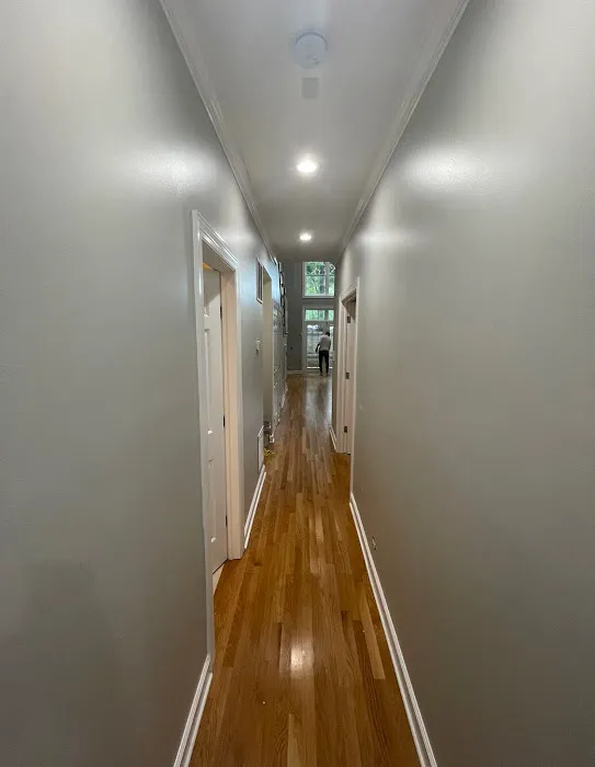 Pro Chicago Painters Picture 1