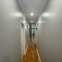 Pro Chicago Painters ico