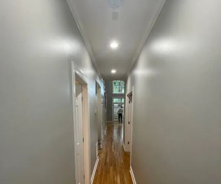 Pro Chicago Painters