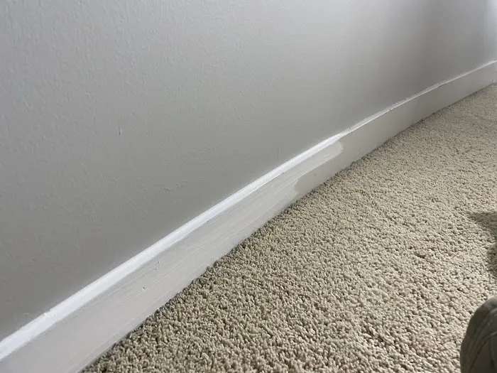 Pro Chicago Painters Picture 10