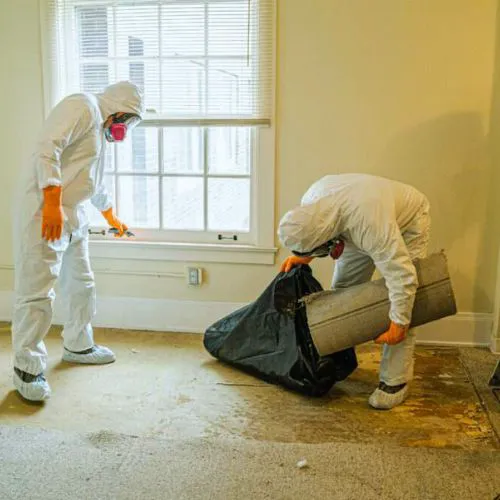 Hermistonn Picture 4