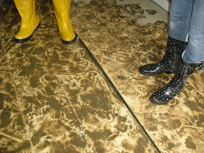 ServiceMaster Restoration Services Picture 10